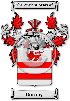 Burnby Family Crest Download (jpg) Legacy Series - 150 DPI