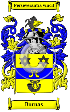 Burnas Family Crest/Coat of Arms