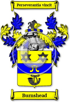Burnshead Family Crest Download (jpg) Legacy Series - 150 DPI