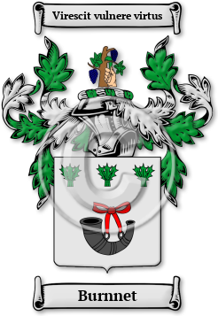 Burnnet Family Crest Download (jpg) Legacy Series - 150 DPI