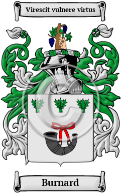 Burnard Family Crest Download (JPG) Heritage Series - 600 DPI