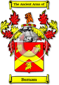 Burnam Family Crest Download (jpg) Legacy Series - 150 DPI
