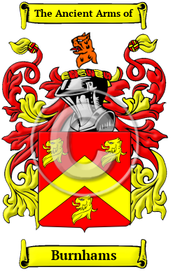 Burnhams Family Crest/Coat of Arms