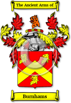 Burnhams Family Crest Download (jpg) Legacy Series - 150 DPI