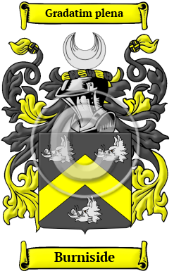 Burniside Family Crest Download (JPG) Heritage Series - 600 DPI