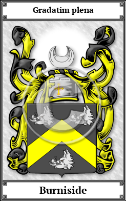 Burniside Family Crest Download (JPG)  Book Plated - 150 DPI