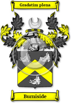 Burniside Family Crest Download (jpg) Legacy Series - 150 DPI