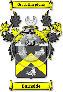 Burnside Family Crest Download (jpg) Legacy Series - 150 DPI