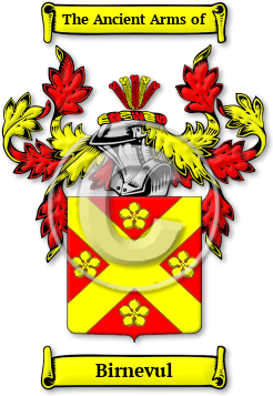 Birnevul Family Crest Download (jpg) Legacy Series - 150 DPI