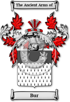 Bur Family Crest Download (jpg) Legacy Series - 150 DPI