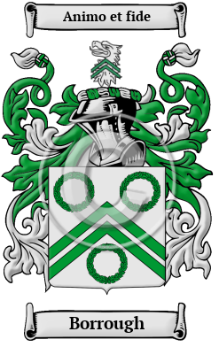 Borrough Family Crest Download (jpg) Heritage Series - 150 DPI