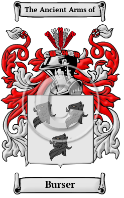 Burser Family Crest/Coat of Arms