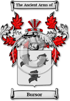Bursor Family Crest Download (jpg) Legacy Series - 150 DPI
