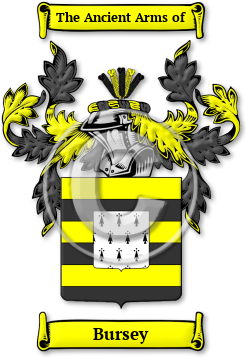 Bursey Family Crest Download (jpg) Legacy Series - 150 DPI