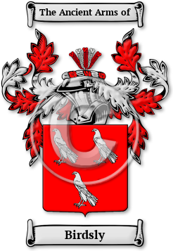 Birdsly Family Crest Download (jpg) Legacy Series - 150 DPI