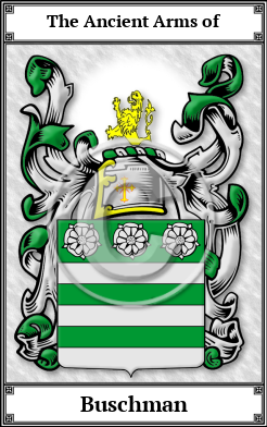 Buschman Family Crest Download (JPG) Book Plated - 600 DPI