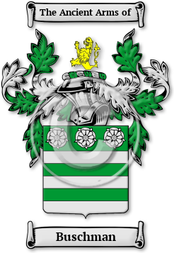 Buschman Family Crest Download (JPG) Legacy Series - 600 DPI