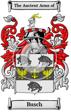 Busch Family Crest Download (JPG) Heritage Series - 600 DPI