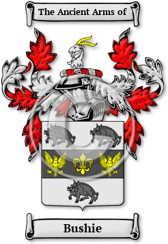 Bushie Family Crest Download (jpg) Legacy Series - 150 DPI