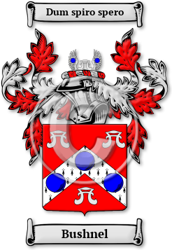 Bushnel Family Crest Download (JPG) Legacy Series - 600 DPI