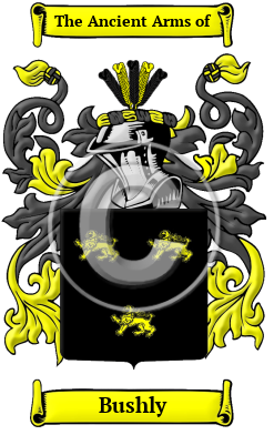 Bushly Family Crest Download (JPG) Heritage Series - 600 DPI