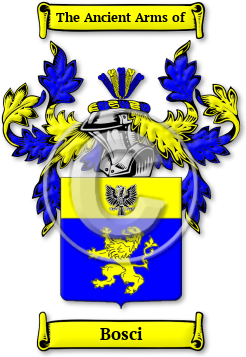 Bosci Family Crest Download (JPG) Legacy Series - 600 DPI