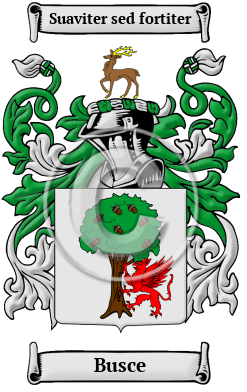Busce Family Crest Download (JPG) Heritage Series - 600 DPI