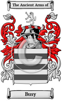 Busy Family Crest Download (JPG) Heritage Series - 600 DPI