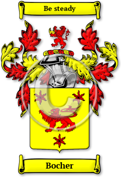 Bocher Family Crest Download (jpg) Legacy Series - 150 DPI