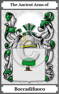 Boccadifuoco Family Crest Download (JPG)  Book Plated - 150 DPI