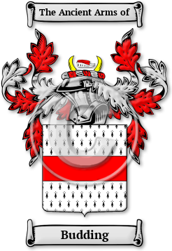 Budding Family Crest Download (JPG) Legacy Series - 300 DPI