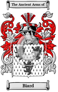 Biard Family Crest Download (JPG) Heritage Series - 600 DPI