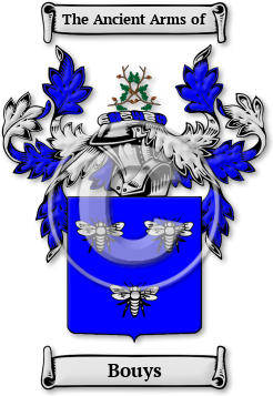 Bouys Family Crest Download (jpg) Legacy Series - 150 DPI