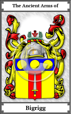 Bigrigg Family Crest Download (JPG)  Book Plated - 150 DPI