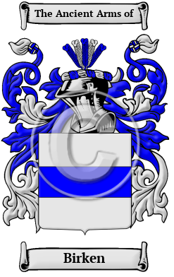 Birken Family Crest Download (JPG) Heritage Series - 600 DPI