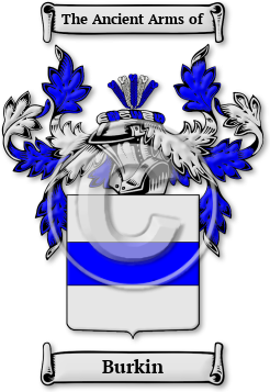 Burkin Family Crest Download (jpg) Legacy Series - 150 DPI