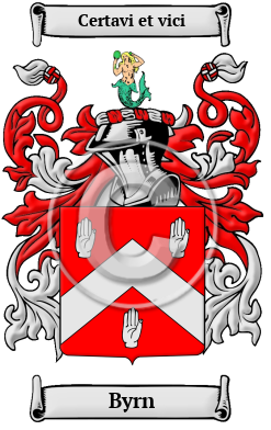 Byrn Family Crest Download (JPG) Heritage Series - 600 DPI
