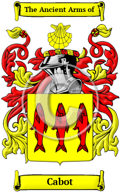 Cabot Family Crest Download (JPG) Heritage Series - 600 DPI