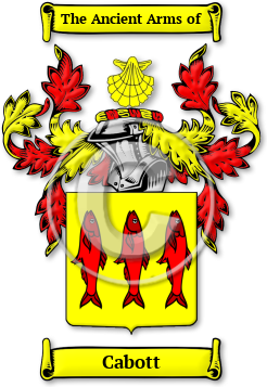 Cabott Family Crest Download (jpg) Legacy Series - 150 DPI