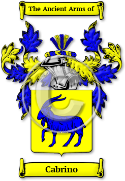 Cabrino Family Crest Download (jpg) Legacy Series - 150 DPI