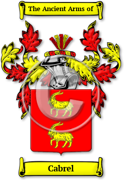 Cabrel Family Crest Download (jpg) Legacy Series - 150 DPI