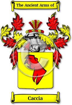 Caccia Family Crest Download (jpg) Legacy Series - 150 DPI