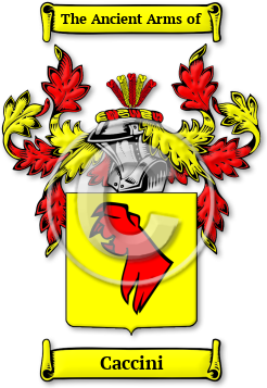Caccini Family Crest Download (jpg) Legacy Series - 150 DPI