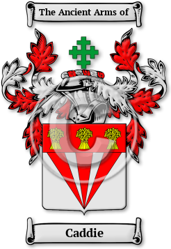 Caddie Family Crest Download (JPG) Legacy Series - 600 DPI