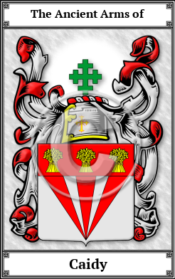 Caidy Family Crest Download (JPG)  Book Plated - 150 DPI