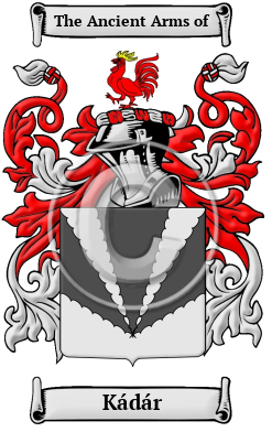 Kádár Family Crest Download (JPG) Heritage Series - 600 DPI