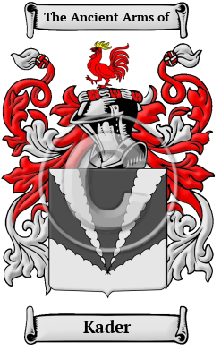 Absorberend Samenwerken met Partina City Kader Name Meaning, Family History, Family Crest & Coats of Arms
