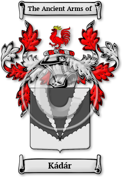 Kádár Family Crest Download (JPG) Legacy Series - 600 DPI