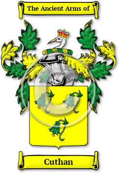Cuthan Family Crest Download (jpg) Legacy Series - 150 DPI