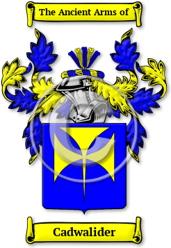 Cadwalider Family Crest Download (jpg) Legacy Series - 150 DPI